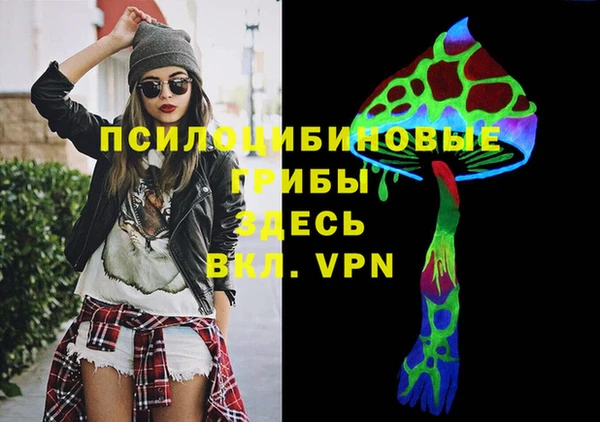 герыч Алексин