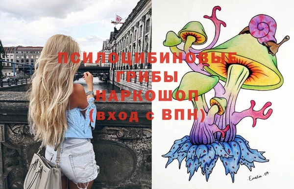 герыч Алзамай