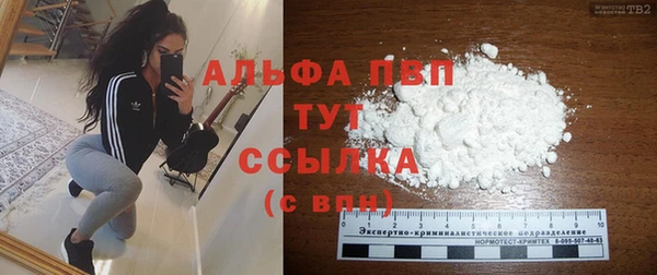 дмт Пересвет